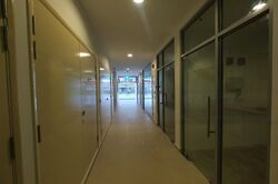 Suites @ Bukit Timah (D21), Shop House #479289371